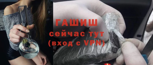 молекула духа Богданович