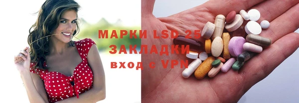 молекула духа Богданович