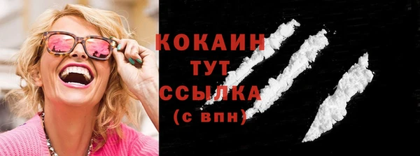 молекула духа Богданович