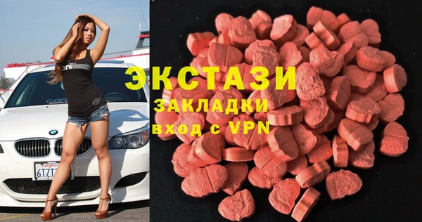 молекула духа Богданович