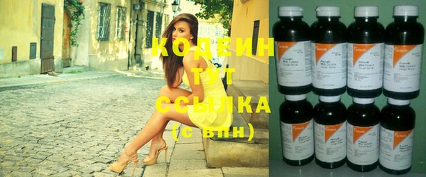 молекула духа Богданович