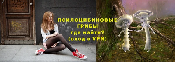 эйфоретик Богородск