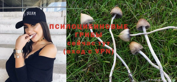 ПСИЛОЦИБИНОВЫЕ ГРИБЫ Тихорецк